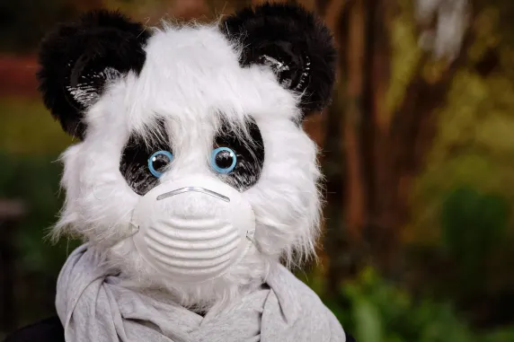 Duelbits Casino Soporte